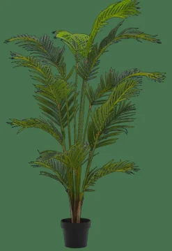 KWAI Palma Verde