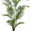 KWAI Palma Verde
