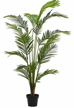 KWAI Palma Verde