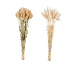 LAGURUS Piumino Beige