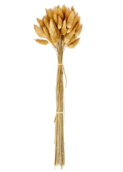 LAGURUS Piumino Naturale