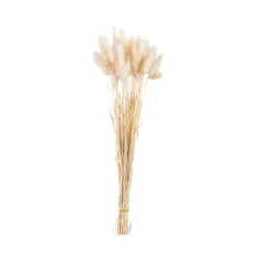 LAGURUS Piumino Naturale