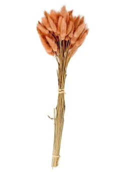 LAGURUS Piumino Rosa