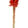 LAGURUS Piumino Rosso