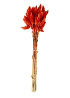 LAGURUS Piumino Rosso