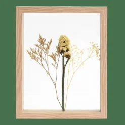 LIMONIUM Decorazione Da Parete Naturale