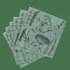 LOLIUM GREEN Set Di 20 Tovaglioli Verde