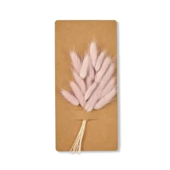 MINA Deco Essiccata Rosa