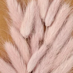 MINA Deco Essiccata Rosa