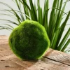 MOSS Sfera Di Muschio Verde