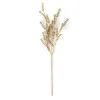 MOTHERWORT Rametto Erbe Dorato
