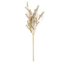 MOTHERWORT Rametto Erbe Dorato