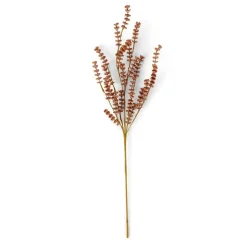 MOTHERWORT Rametto Erbe Rosa