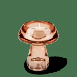 MUSHROOM Portalumini Marrone