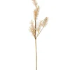 PAMPA Pampas Bianco
