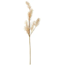 PAMPA Pampas Bianco