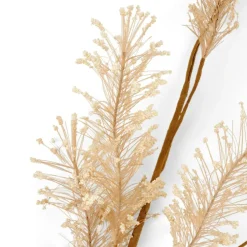 PAMPA Pampas Bianco