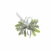 PIM Filo Luminoso 25 Luci Led Verde