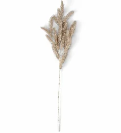 PINE Fungo
