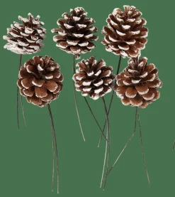 PINECONE Pigne Set Da 6 2 Colori Bianco, Argentato