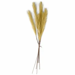 PLUME Pennacchi Decorativi Marrone Chiaro