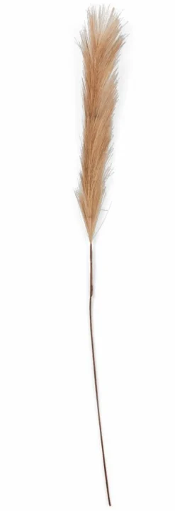 PLUME Pennacchi Decorativi Marrone Chiaro
