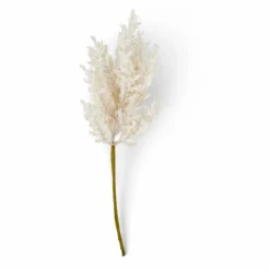 PLUME Pennacchi Decorativi Marrone Chiaro