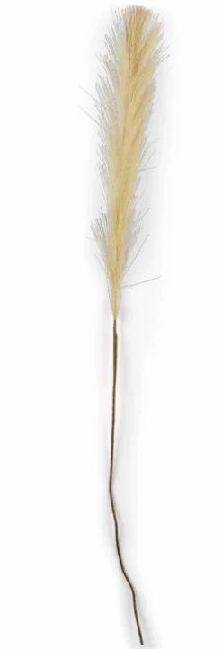 PLUME Pennacchi Decorativi Marrone Chiaro