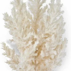 PLUME Pennacchi Decorativi Marrone Chiaro