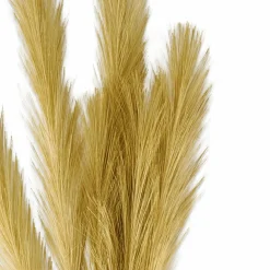 PLUME Pennacchi Decorativi Marrone Chiaro