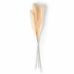 PLUME Pennacchi Decorativi Marrone Chiaro