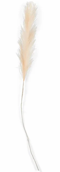 PLUME Pennacchi Decorativi Marrone Chiaro