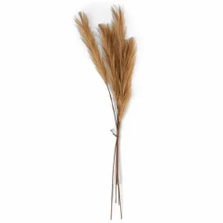 PLUME Pennacchi Decorativi Marrone Chiaro