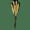 PLUME Pennacchi Decorativi Verde