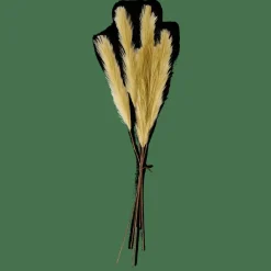 PLUME Pennacchi Decorativi Verde