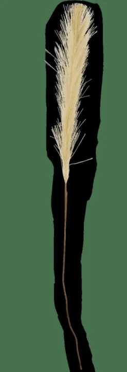 PLUME Pennacchi Decorativi Verde