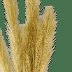 PLUME Pennacchi Decorativi Verde