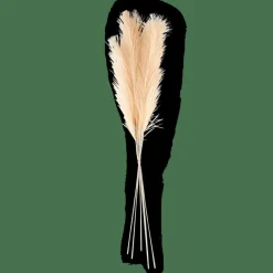 PLUME Pennacchi Decorativi Crema