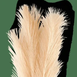PLUME Pennacchi Decorativi Crema
