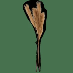 PLUME Pennacchi Decorativi Marrone