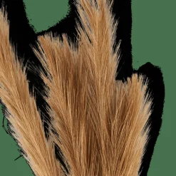 PLUME Pennacchi Decorativi Marrone