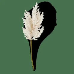 PLUME Stelo Bianco Antico