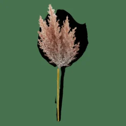 PLUME Stelo Di Piume Arancione