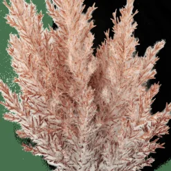 PLUME Stelo Di Piume Arancione