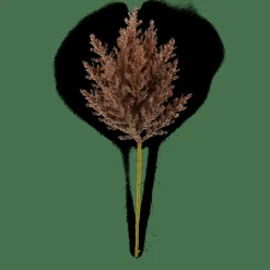 PLUME Stelo Di Piume Marrone