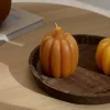 PUMPKIN Candela Marrone