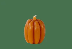 PUMPKIN Candela Marrone