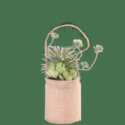 ROPE Pianta Artificiale In Vaso Sospeso Naturale