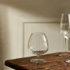 SPEAKEASIES Cognac 46,5 CL Trasparente