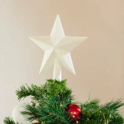STAR Decorazioni Secche